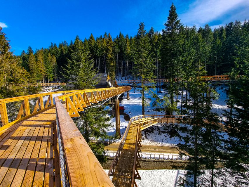Krakow: Zakopane, Thermal Baths and Gorce Park Treetop Walk - Who should book this outing?