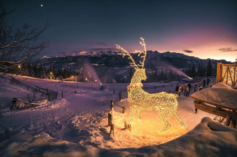 Krakow: Zakopane, Thermal Springs, Cable Car, Local Tasting - Guides, timing, and the small details that matter