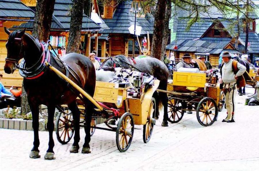 KRAKOW ZAKOPANE TOUR CABLE CAR THERMAL BATHS & HOTEL PICKUP - The van ride and group size