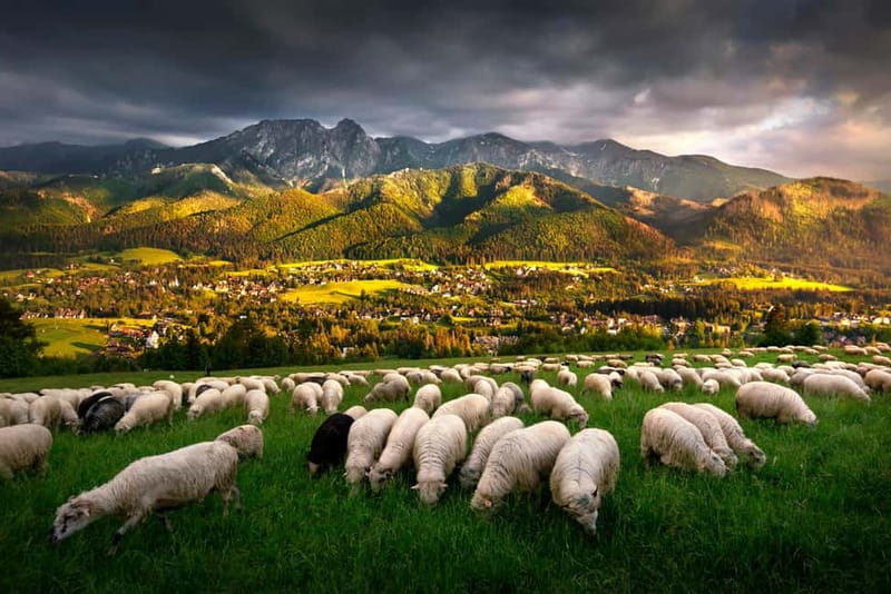 Krakow: Zakopane Trip with Thermal Pools & Hotel Pick-up - Chochołów and the old wooden homes