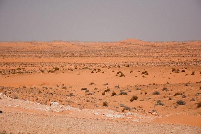 Ksar Ghilane 1 day: The hot spring and the homestay - Tamezret and the rosemary tea break