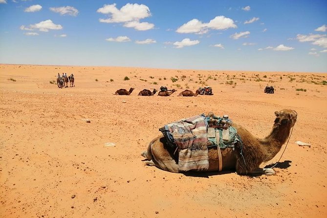 Ksar Ghilane 1 day: The hot spring and the homestay - Lunch, transport, and what the price covers