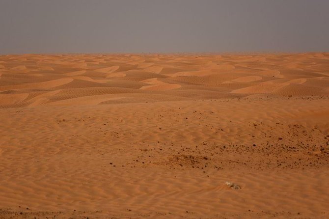 Ksar Ghilane 1 day: The hot spring and the homestay - Ksar Ghilane: spring water beside the dunes