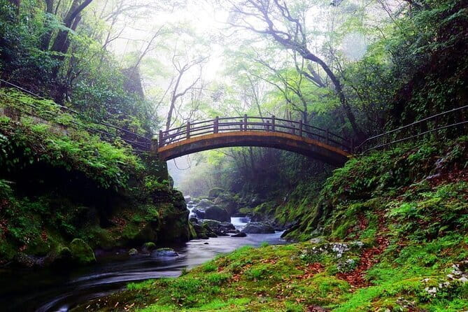 Kyushu: Aso Vocano, Grassland,Onsen and Aso shrine 1-Day Tour - What the $72.26 price really covers