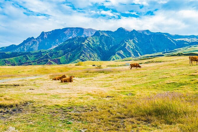 Kyushu: Aso Vocano, Grassland,Onsen and Aso shrine 1-Day Tour - Walking the wide Kusasenri grasslands