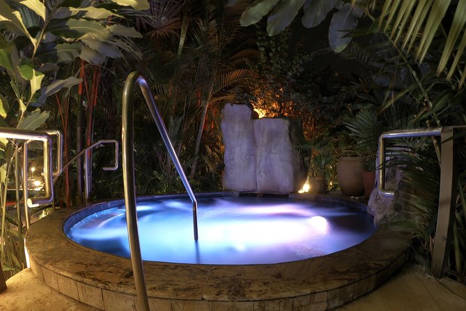 La Fortuna: Mineral Hot Springs Full Day Ticket - Lunch, dinner, and the swim-up bar