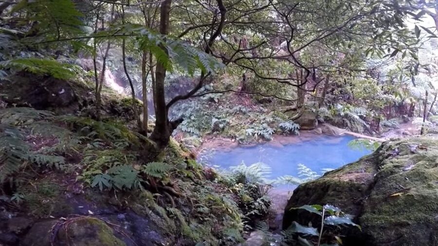 Lagoa do Fogo: Biologist-guided Volcano e-Tour +Hot Springs - Key points to know before booking