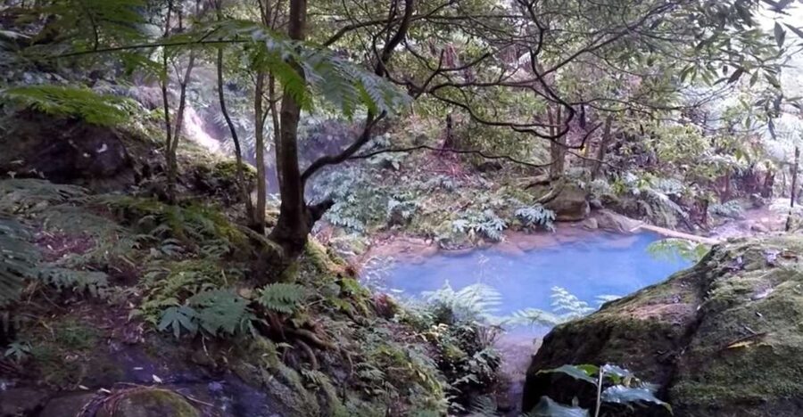 Lagoa do Fogo: Biologist-guided Volcano e-Tour +Hot Springs - Why this São Miguel half-day tour works well