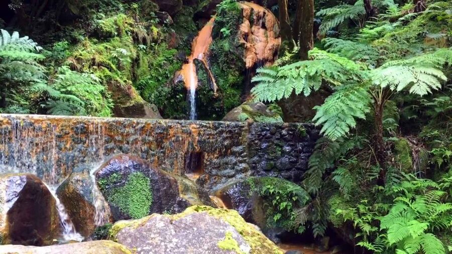 Lagoa do Fogo: Biologist-guided Volcano e-Tour +Hot Springs - What the guides add to the outing