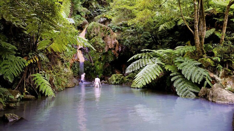 Lagoa do Fogo: Biologist-guided Volcano e-Tour +Hot Springs - Who should choose this tour?