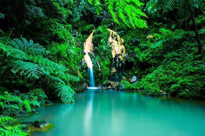 Lagoa do Fogo Volcano and Caldeira Velha Hot Springs - Gorreana tea, from field to cup