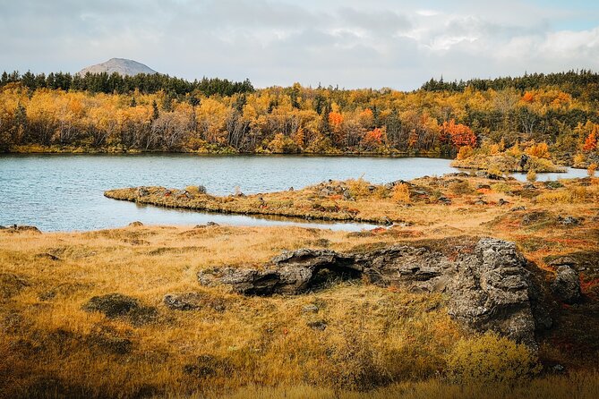 Lake Myvatn Godafoss and Dettifoss Waterfalls Tour in Iceland - Dimmuborgir turns lava into strange shapes