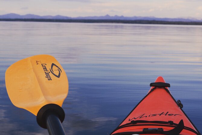 Lake Yellowstone Half Day Kayak Tours Past Geothermal Features - Why Yellowstone Lake Is Worth Seeing by Kayak