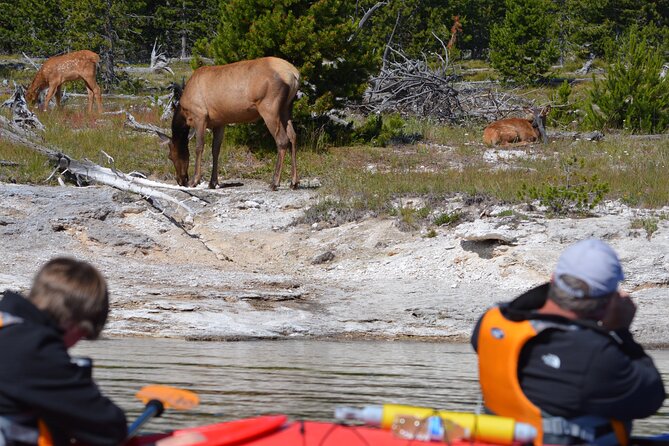 Lake Yellowstone Half Day Kayak Tours Past Geothermal Features - Seeing West Thumb Geyser Basin from the Water