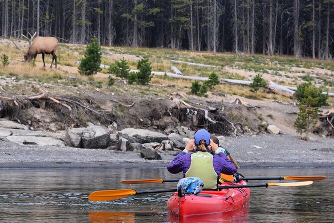 Lake Yellowstone Half Day Kayak Tours Past Geothermal Features - What the $120 Price Includes