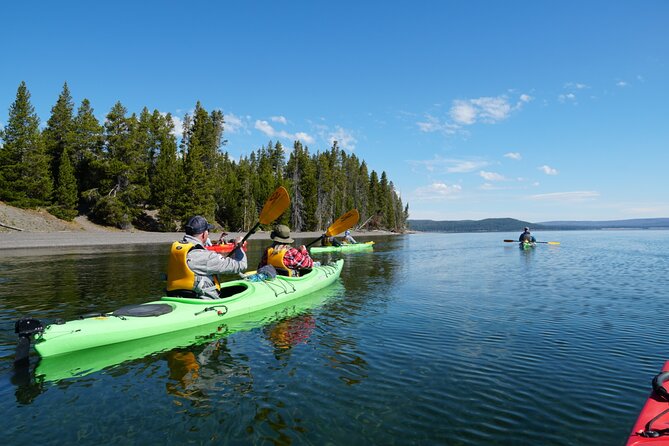 Lake Yellowstone Half Day Kayak Tours Past Geothermal Features - Who Will Enjoy This Tour Most