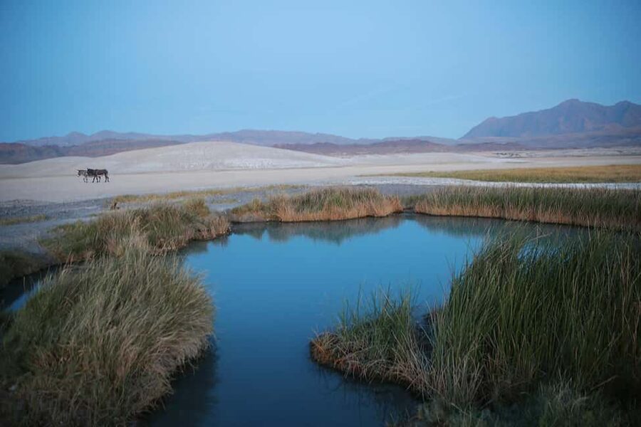 Las Vegas: Soak in a Natural Hot Springs near Death Valley - The return drive and the time question