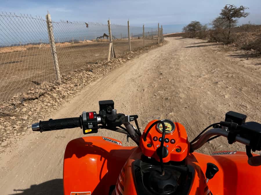 Marrakech Tour: Quad bike, Lunch in Palm Grove, Hammam & SPA - FAQ