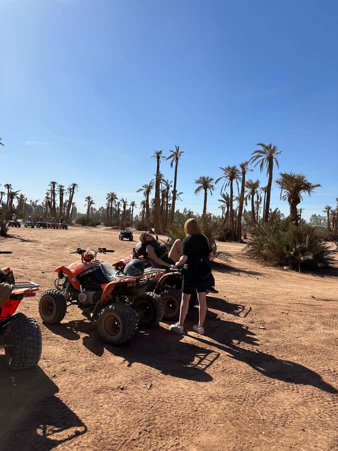 Marrakech Tour: Quad bike, Lunch in Palm Grove, Hammam & SPA - How much value do you get for $56?