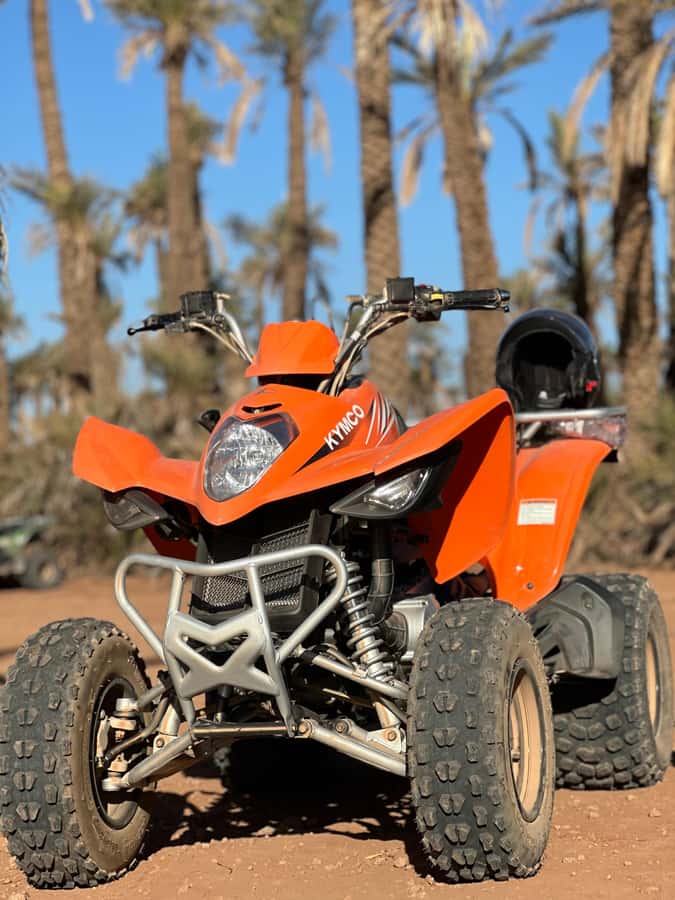 Marrakech Tour: Quad bike, Lunch in Palm Grove, Hammam & SPA - Who should book this Marrakech outing?