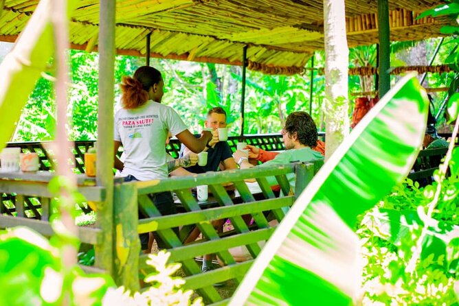 Materuni Waterfall and Kikuletwa Hot Spring Tour - Why This One-Day Tour Works So Well