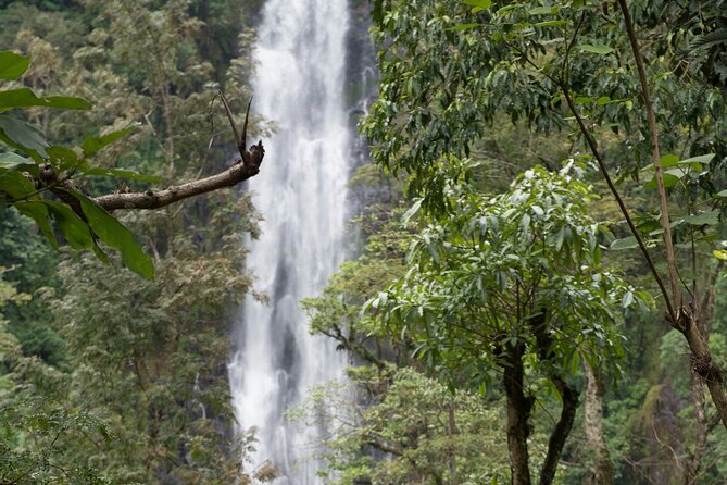 Materuni Waterfall and Kikuletwa Hot Spring Tour - A Chagga Coffee Experience, Not Just A Tasting