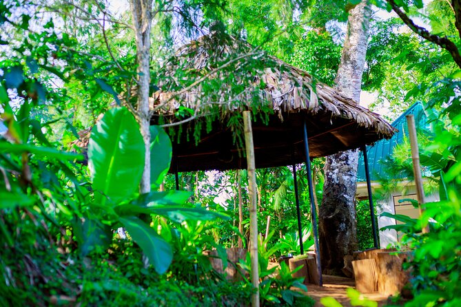 Materuni Waterfall and Kikuletwa Hot Spring Tour - Relaxing At Kikuletwa Hot Springs