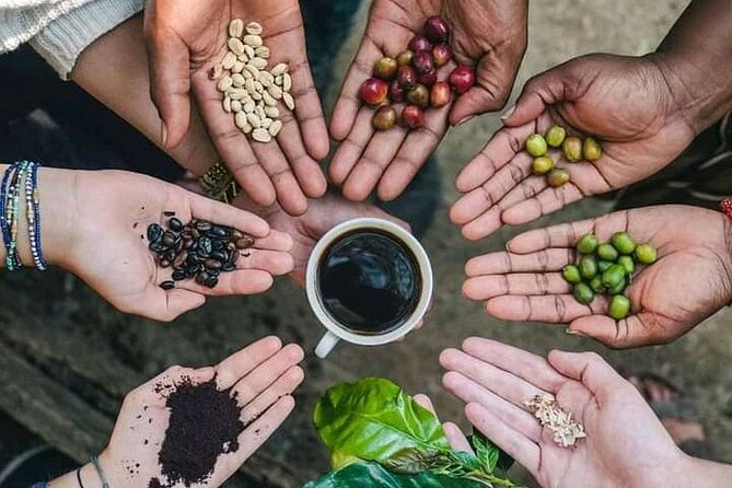 Materuni Waterfall Coffee Tour and Chemka Hot Springs Experience - Five things to know before you book
