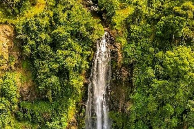 Materuni Waterfall Coffee Tour and Chemka Hot Springs Experience - A full day from Arusha to the slopes of Kilimanjaro