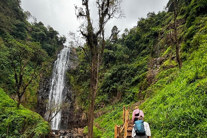 Materuni Waterfall Coffee Tour and Chemka Hot Springs Experience - What the $80 price really covers