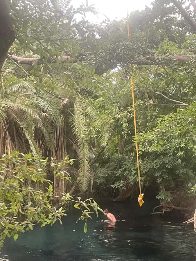 Materuni Waterfall, Coffee Tour & Hot Springs- Maasai tour - Transport comfort, walking, and what to pack