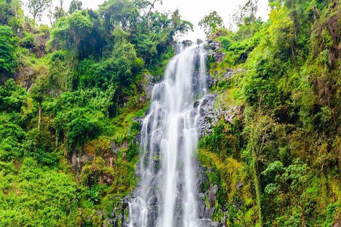 Materuni waterfall - coffee tour OR Chemka hot spring Tour - Key Points at a Glance