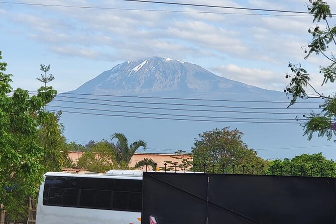 Materuni waterfall - coffee tour OR Chemka hot spring Tour - What This Moshi Day Trip Really Includes