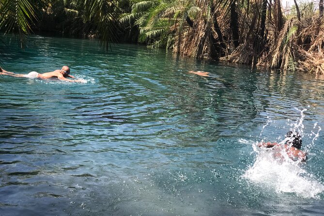 Materuni waterfall - coffee tour OR Chemka hot spring Tour - Relaxing at Kikuletwa, Also Called Chemka Hot Spring