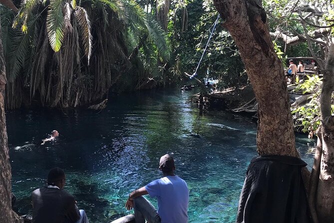 Materuni waterfall - coffee tour OR Chemka hot spring Tour - Transport, Lunch, and Guide Service