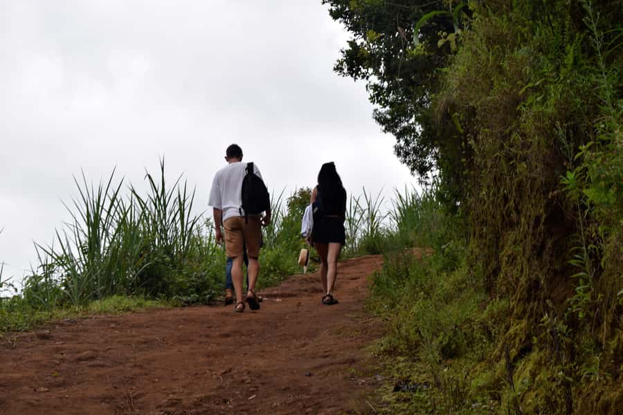 Materuni Waterfalls, Chemka Hot Springs, &/Or Coffee Tour - Five things worth knowing before you go