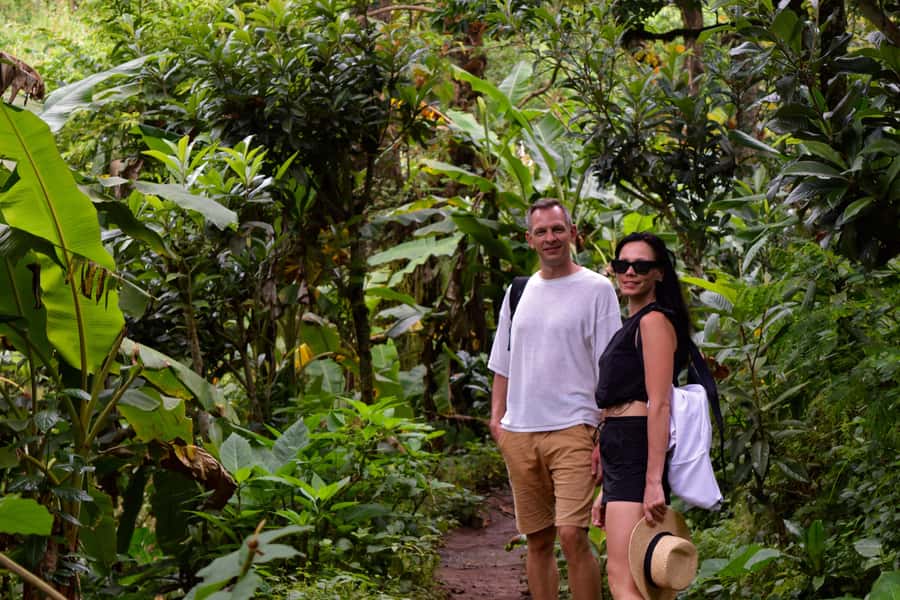 Materuni Waterfalls, Chemka Hot Springs, &/Or Coffee Tour - A full Kilimanjaro-area day for $70