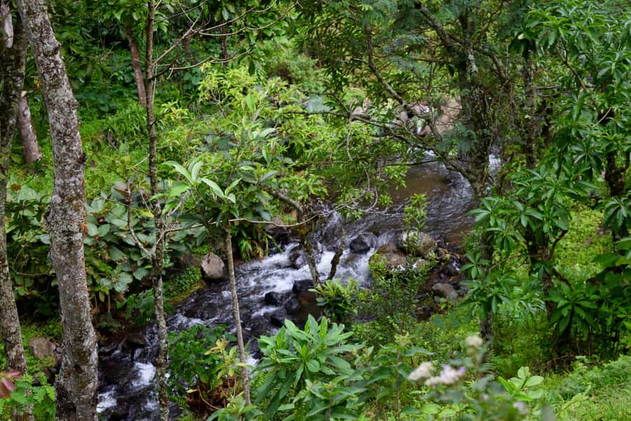 Materuni Waterfalls, Chemka Hot Springs, &/Or Coffee Tour - Chemka Hot Springs and the famous rope swing