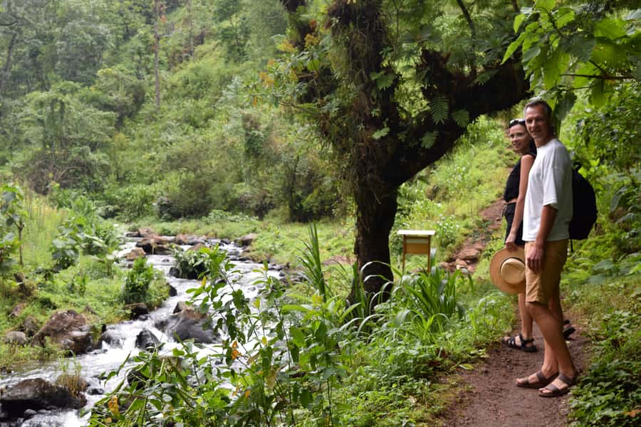 Materuni Waterfalls, Chemka Hot Springs, &/Or Coffee Tour - What the guides add to the day