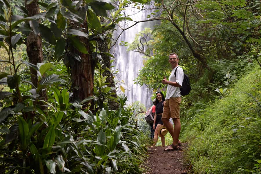 Materuni Waterfalls, Chemka Hot Springs, &/Or Coffee Tour - Transport, timing, and the day’s pace