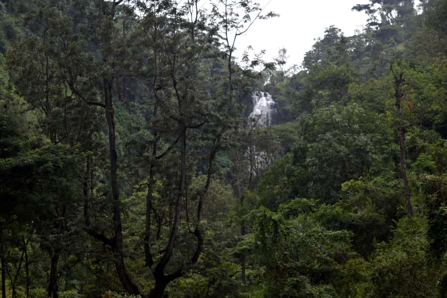 Materuni Waterfalls, Chemka Hot Springs, &/Or Coffee Tour - Who should book this experience?