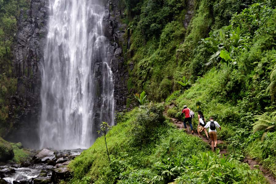 Materuni Waterfalls, Chemka Hot Springs, &/Or Coffee Tour - Walking through Materuni Village to the falls