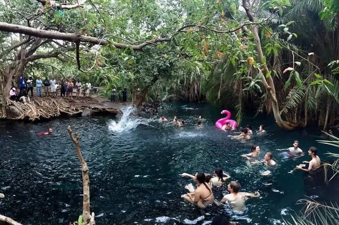 Materuni waterfalls coffee tour & Chemka hot springs Day trip - How much time should you allow?