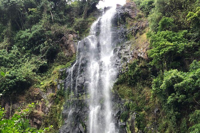 Materuni waterfalls coffee tour & Chemka hot springs Day trip - The private format and guide quality