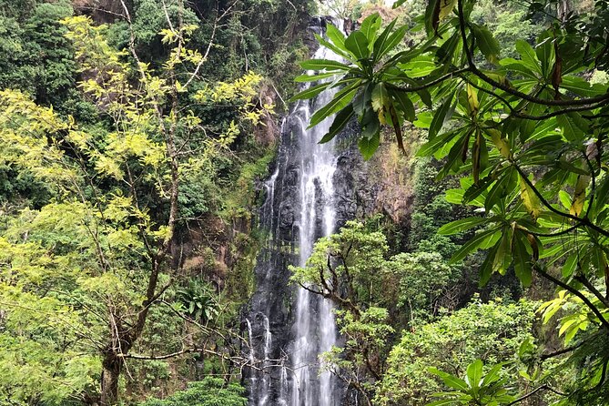 Materuni waterfalls coffee tour & Chemka hot springs Day trip - Who should book this experience?