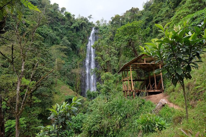 Materuni waterfalls,coffee tour & Kikuletwa(Chemka)Hot Springs - Key things to know before booking