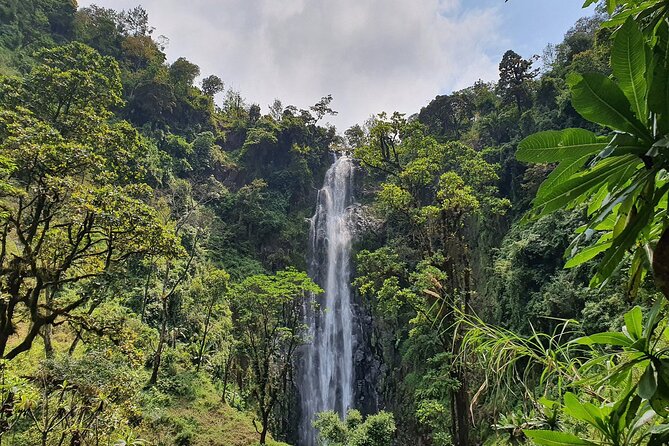 Materuni waterfalls,coffee tour & Kikuletwa(Chemka)Hot Springs - Why this Arusha day trip works so well