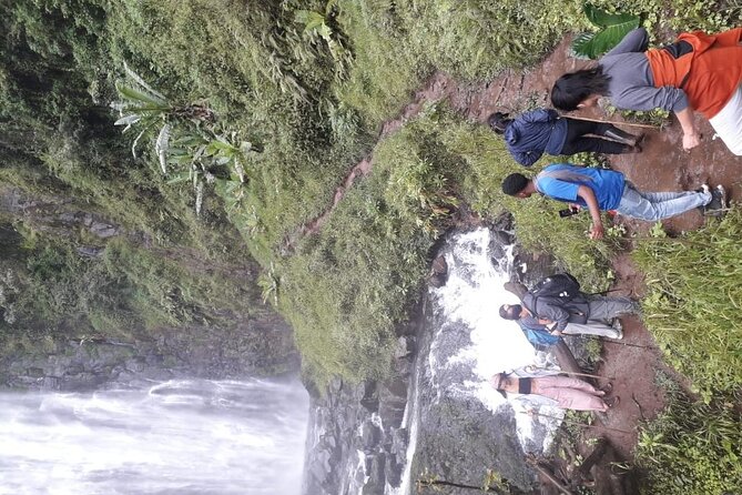 Materuni waterfalls,coffee tour & Kikuletwa(Chemka)Hot Springs - Turning coffee plants into a fresh cup
