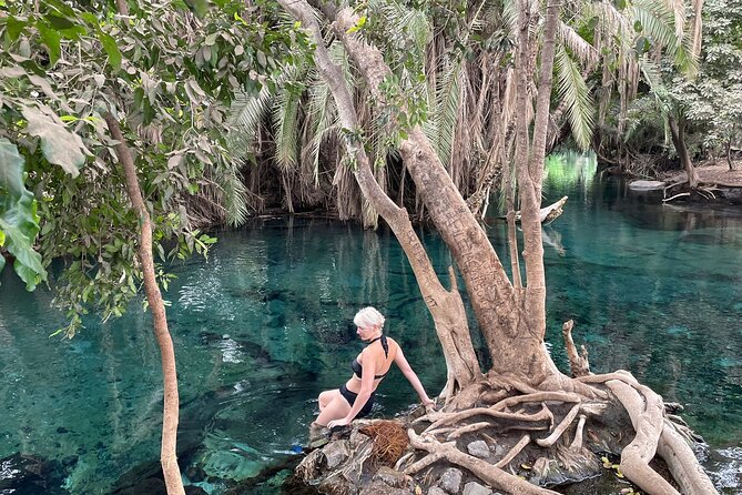 Materuni waterfalls,coffee tour & Kikuletwa(Chemka)Hot Springs - Who should book this experience