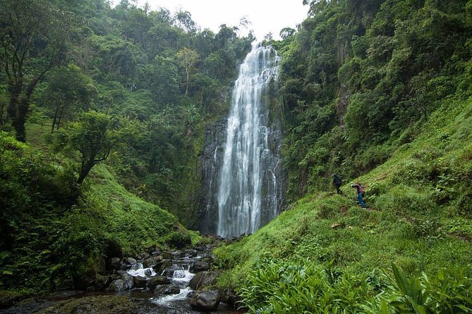 Materuni Waterfalls, coffee tour & Kikuletwa Hot Springs - Key points before you book